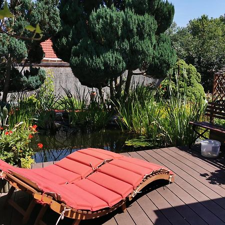 Ferienhaus Mit Mediterraner Terrasse Müllrose エクステリア 写真