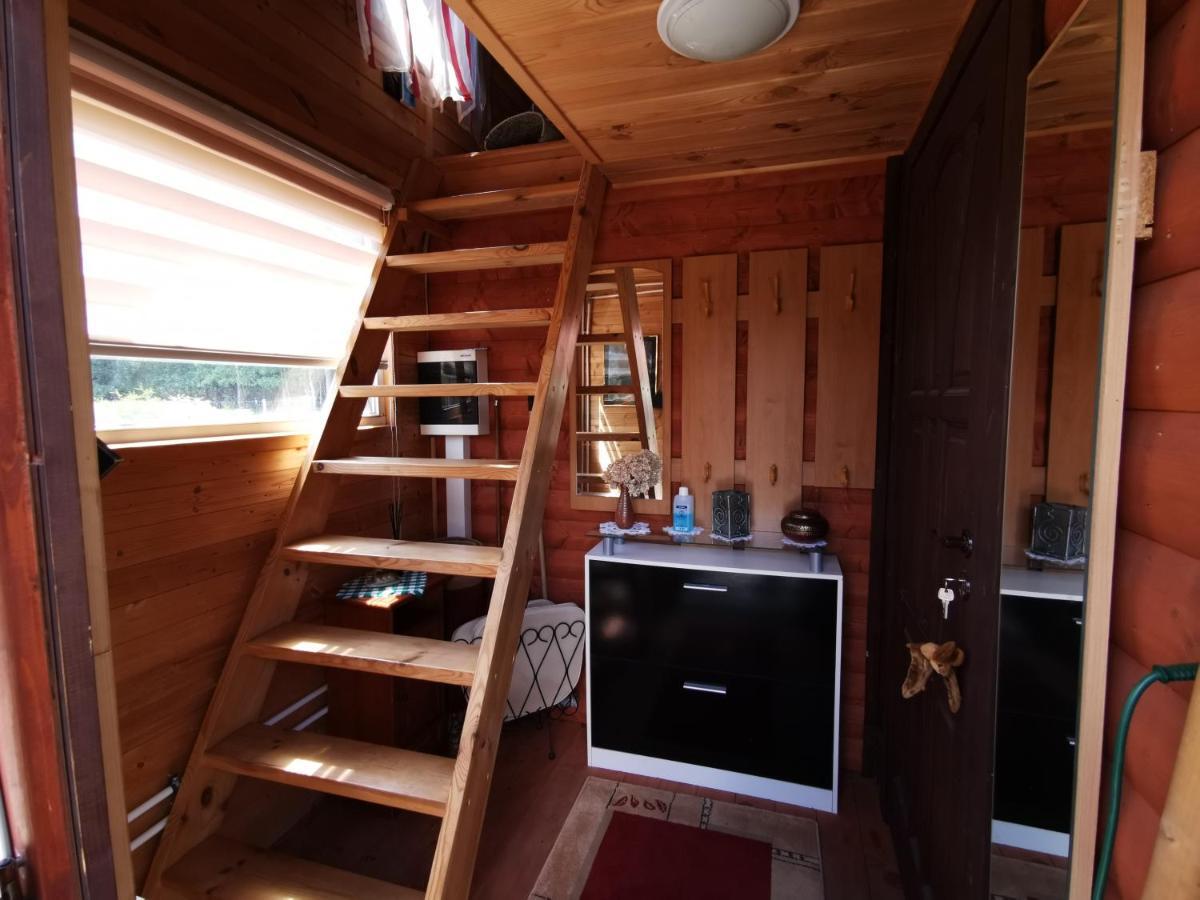 Ferienhaus Mit Mediterraner Terrasse Müllrose エクステリア 写真